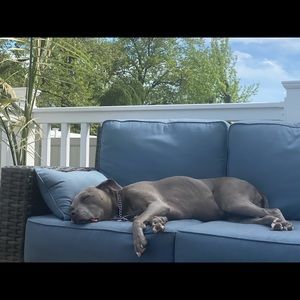 Meet your Posher, Alexandra